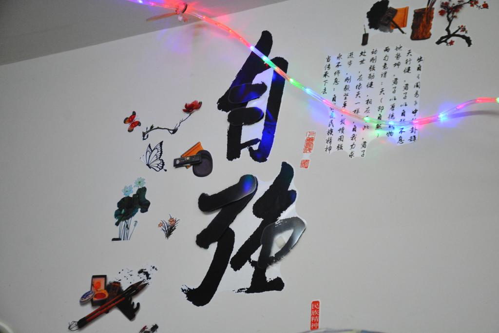 图为 寝室装扮 (二)