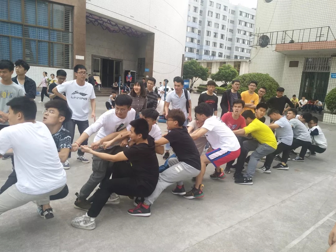 图为 拔河现场(二)